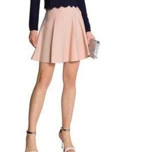 Sandro Skirt (Never Been Worn)